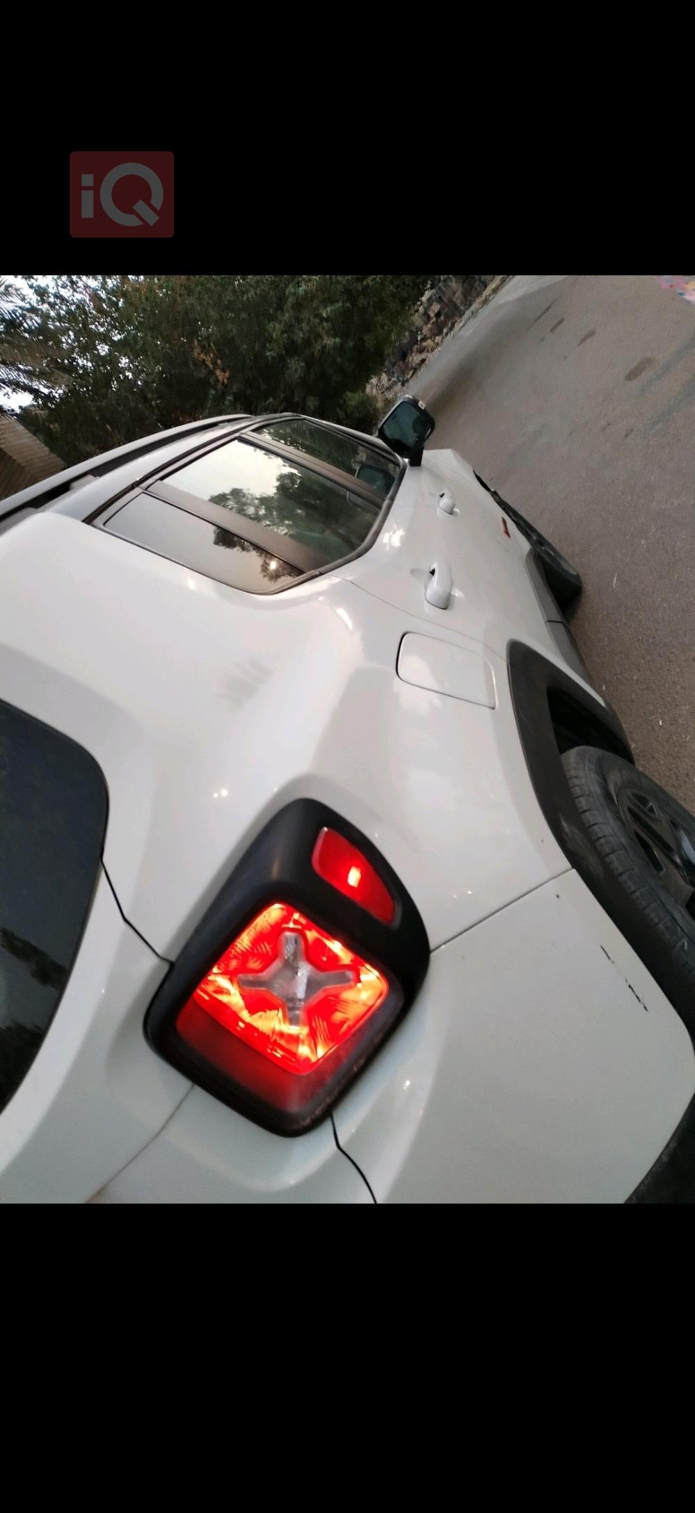 جيب رينيجيد